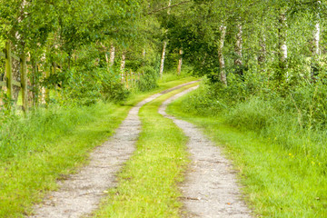 Poster - idyllic field path