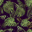Seamless pattern with tropical leaves of palm trees on a dark background