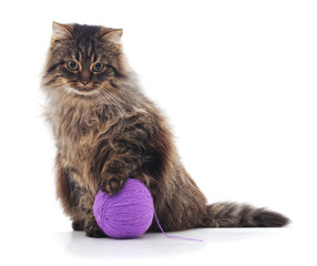 Sticker - Kitten and ball.