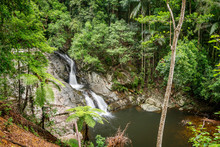 Waterfalls And Cascades In Queensland’s Springbrook National Park. The Cougal Cascades Track Follows Currumbin Creek Alongside A Series Of Rock Pools And Small Waterfalls. Gold Coast, Queensland.