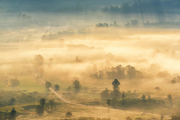 Wall Mural - beautiful sunrise scene with misty and tree in morning in forest valley in khao kor mountain