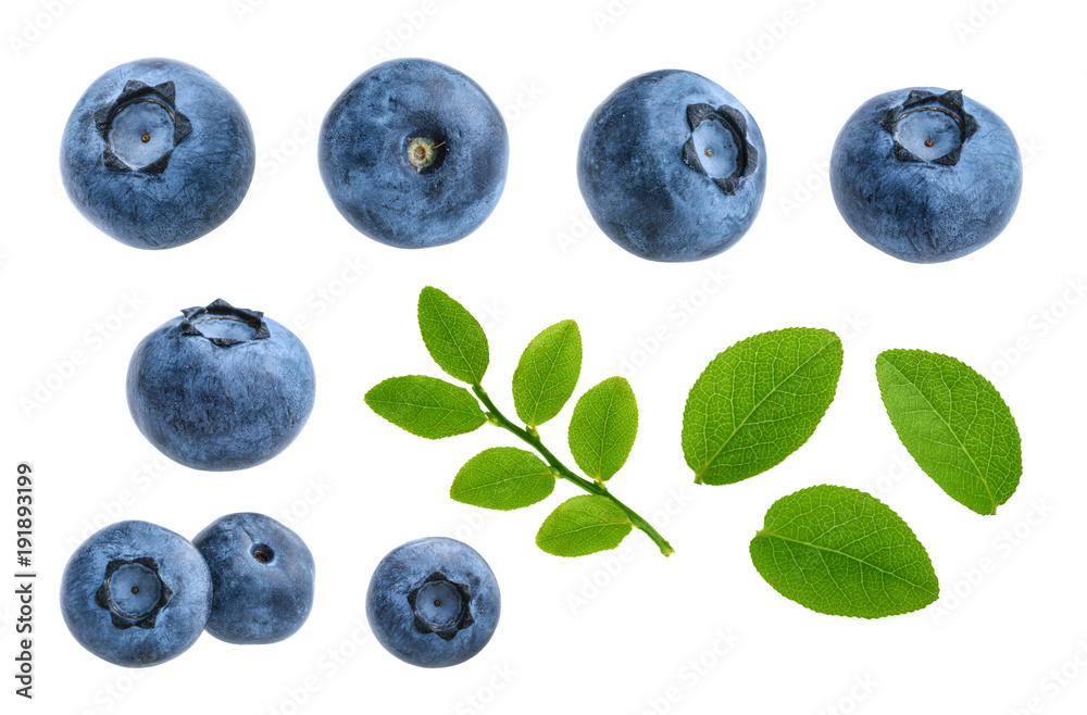 Blueberries isolated on white background without shadow set - obrazy, fototapety, plakaty 