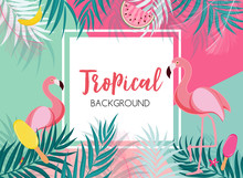 Cute Summer Abstract Frame Background With Pink Flamingo Vector Illustration