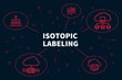 Conceptual business illustration with the words isotopic labeling