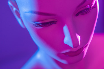 Poster - The head of a woman's dummy. A woman with artificial intelligence. Dummy. Robot. A woman is a robot. Dummy cyber woman.