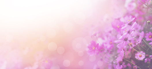 Wall Mural - Violet color floral abstract background.