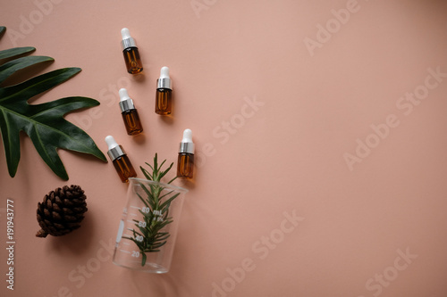 Fotografía natural cosmetic cream , serum, skincare blank bottle packaging with leaves herb, wood