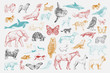 Leinwandbild Motiv Illustration drawing style of animal collection