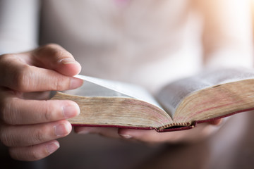 Wall Mural - Women reading the Holy Bible.,reading a book.