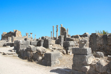 Poster - View of the Basilica in Volubilis, Morocco