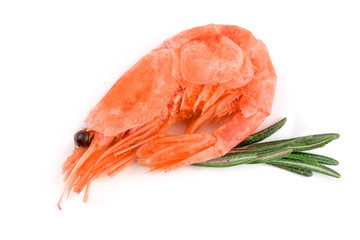 Red cooked prawn or shrimp isolated on white background