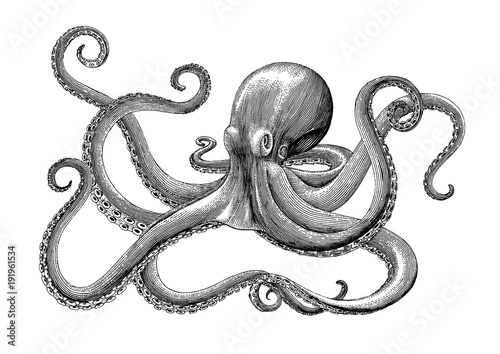 Cuadros en Lienzo Octopus hand drawing vintage engraving illustration on white backgroud
