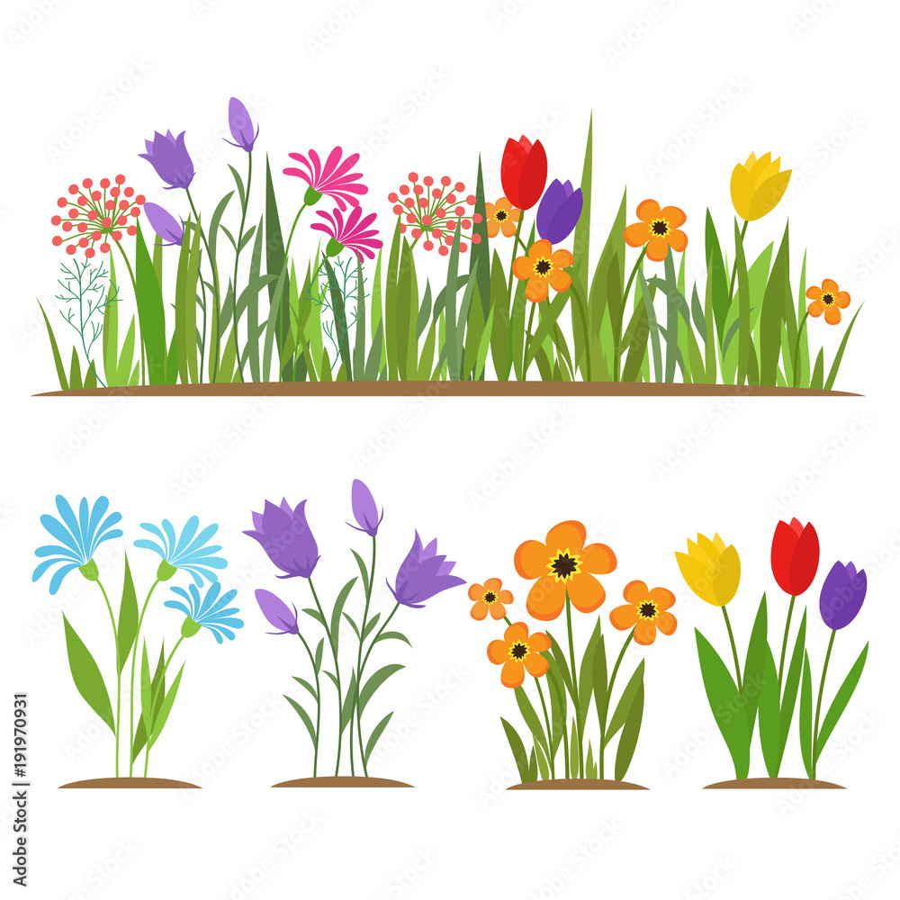 Early spring forest and garden flowers isolated on white vector set ...