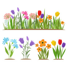 Early Spring Forest And Garden Flowers Isolated On White Vector Set