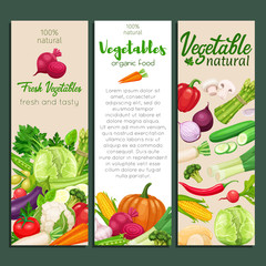 Sticker - Banners vector vegetables