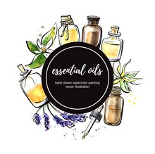 Vector Illustration With Essential Oil Bottles, Flower And Plant. Hand Drawn Elements In Circle Composition With Black Round Label And Place For Your Text. Isolated Black Outline And Colorful Stains.