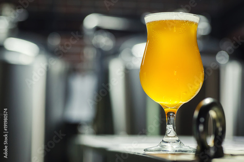 Fotografía Tulip glass of light beer in a brewery