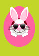 Front Easter Bunny Sunglasses Hiding In Egg Green/White