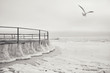 The frozen sea and the iron round pier in ice floes. ice winter expanse of the sea. Minimalism. Monotone, black and white,
