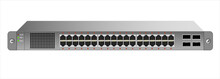 The Ethernet 1U Switch For Mounting With A 19-inch Rack With 28 Ports, Including Four Backbones. Vector Illustration.