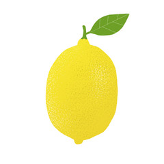 Wall Mural - lemon - vector illustration