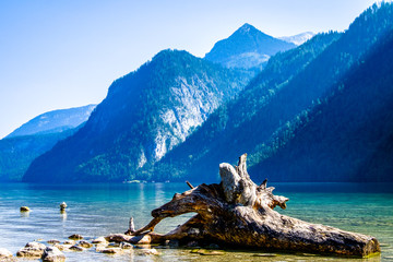 Canvas Print - famous koenigsee lake