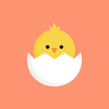 Cute Little Chick In Cracked Egg Vector Graphic Illustration. Easter Themed, Yellow Chicken Cartoon With Cracked Eggshell, Isolated On Orange Background.