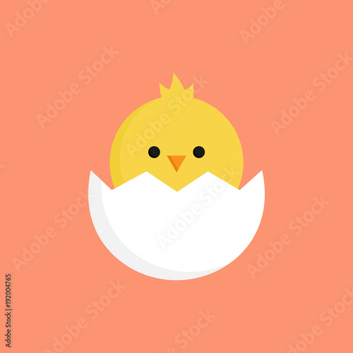 Fotografía Cute little chick in cracked egg vector graphic illustration