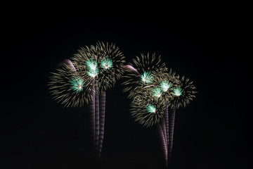 Colorful fireworks display.