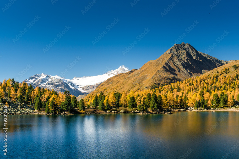 Lagh da Val Viola mit Bernina Massiv im Herbst, Puschlav, Schweiz - obrazy, fototapety, plakaty 