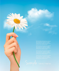 Poster - Beautiful white daisy in front of the blue sky. Vector.