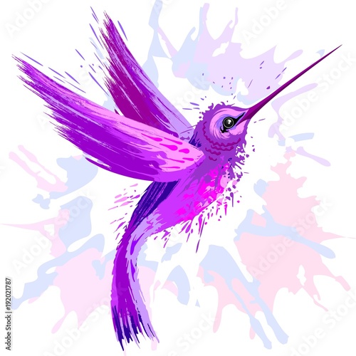Hummingbird Spirit Purple Watercolor