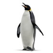 King penguin isolated on white. 3D illustration