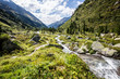 Österreich, Tirol, Lienz, Wandern durch das Tal im Nationalpark Hohe Tauern auf 2000m, Kernzone, Tal des Wassers