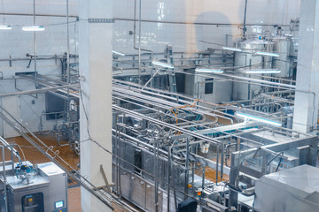 milk and cheese production plant