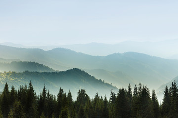 Majestic landscape of summer mountains. A view of the misty slopes of the mountains in the distance. Morning misty coniferous forest hills in fog and rays of sunlight. Travel background.