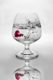 Fototapeta Paryż - Red siamese fighting fish in wine glass.