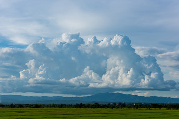 Rice field and cloud with mountain background, Thailand