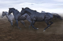 A Herd Of Swift Horses Jumps On The Boundless Steppe