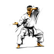 karate action 6