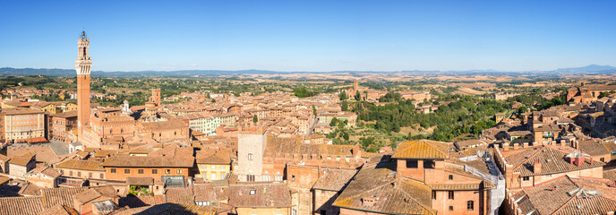 Wall Mural - panorama of siena, aerial view with the torre del mangia, tuscany, italy