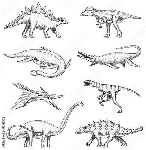 Dinosaurs elasmosaurus, mosasaurus, barosaurus, diplodocus, pterosaur, ankylosaurus, triceratops, fossils, winged lizard Poster