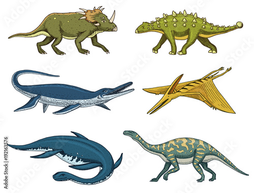 Dinosaurs Elasmosaurus, Mosasaurus, Barosaurus, Diplodocus, Pterosaur, Ankylosaurus, Velociraptor, fossils, winged lizard Poster
