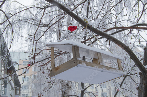 Fotomural Wooden feeding trough for birds hanging on the tree of Rowan, covered with snow