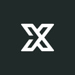 x letter logo vector modern graphic template