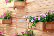 Hanging Basket With Pink Flower Plants On The Wooden Wall