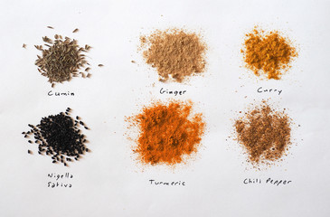 Wall Mural - many spices including Ginger Curry Turmeric Chili pepper Black cumin Nigella sativa