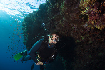 Wall Mural - Scuba diver exploreds coral reef 