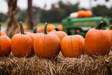 Pumpkins And Tractor In Autumn