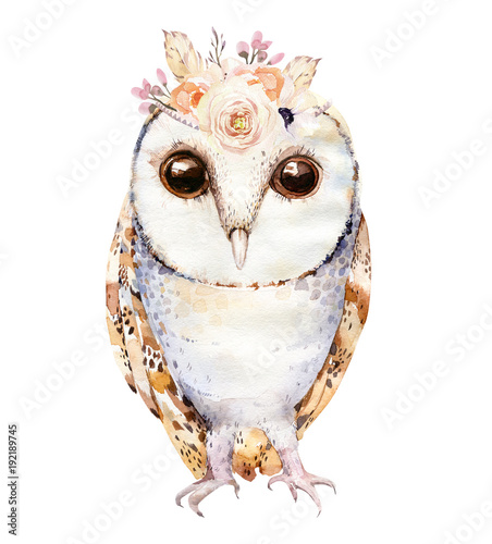 akwarela-sowa-z-kwiatami-i-pioro-reka-rysujaca-odosobniona-sowy-ilustracyjna